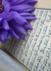 Hearing Effect: Al Quran Healing
