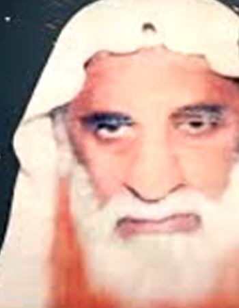 Read more about the article Allamah Sayyid Badiuddin Shah Rashdi