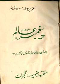 Payghambar e-Alam Urdu Maulana Muhammad Abdul Sattar Khan Niazi